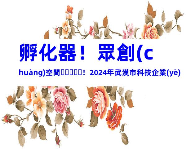 孵化器！眾創(chuàng)空間！2024年武漢市科技企業(yè)孵化器和眾創(chuàng)空間申報時間、對象合集